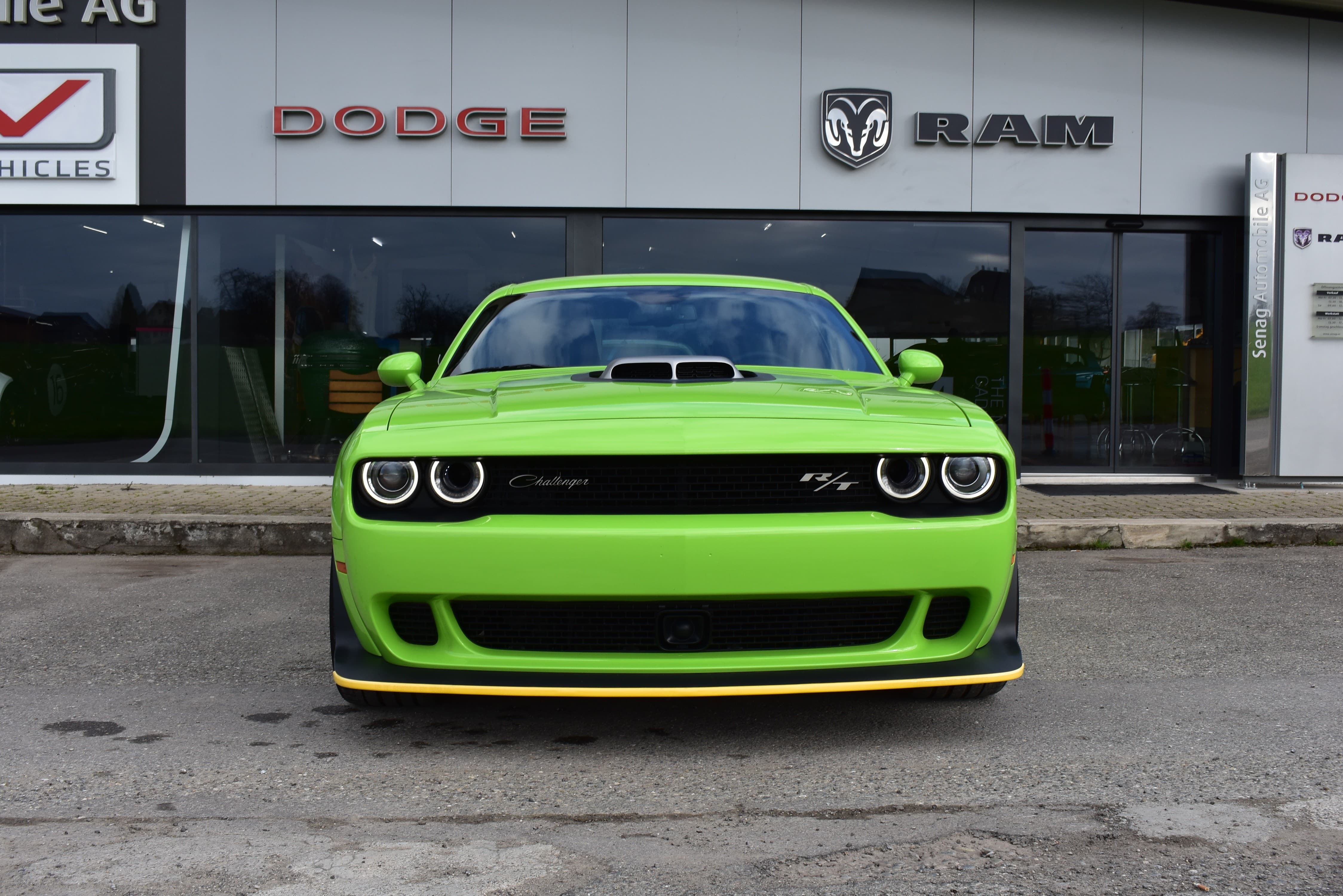 DODGE Challenger Swinger Sublime Green - Bild 2