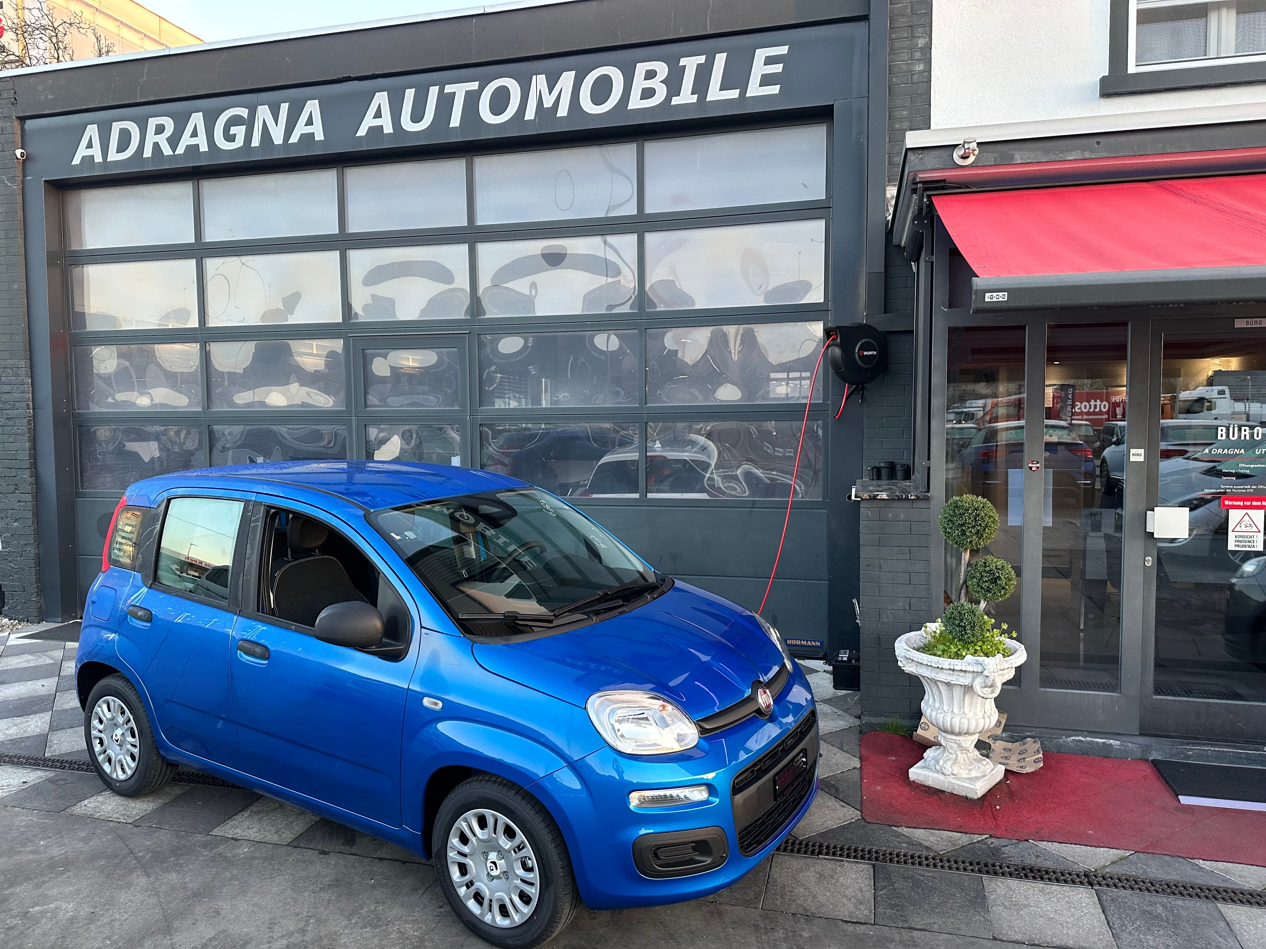 FIAT Panda 1.0 MHEV Pandina - Bild 2