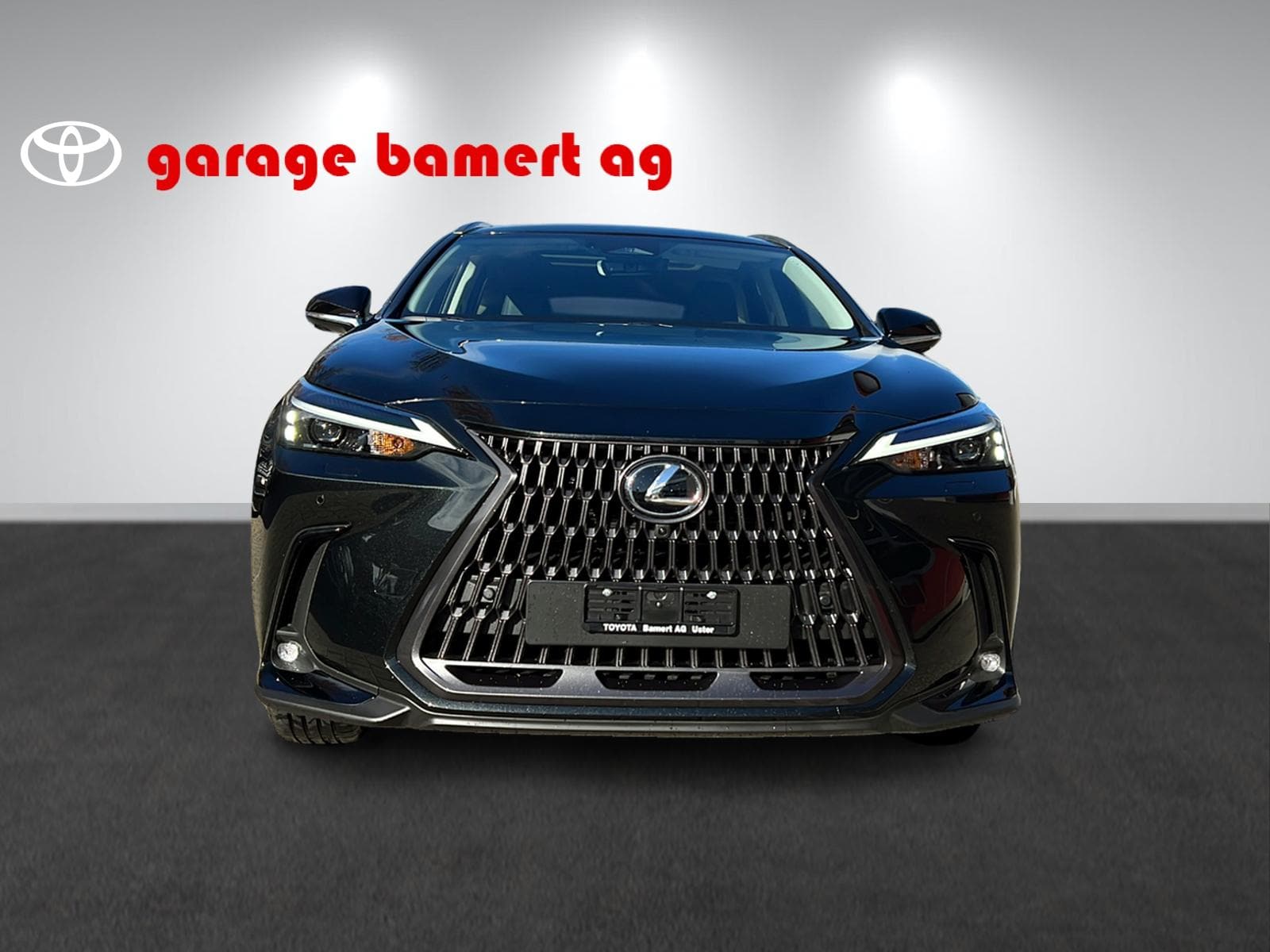 LEXUS NX 450h+ Excellence - Bild 2