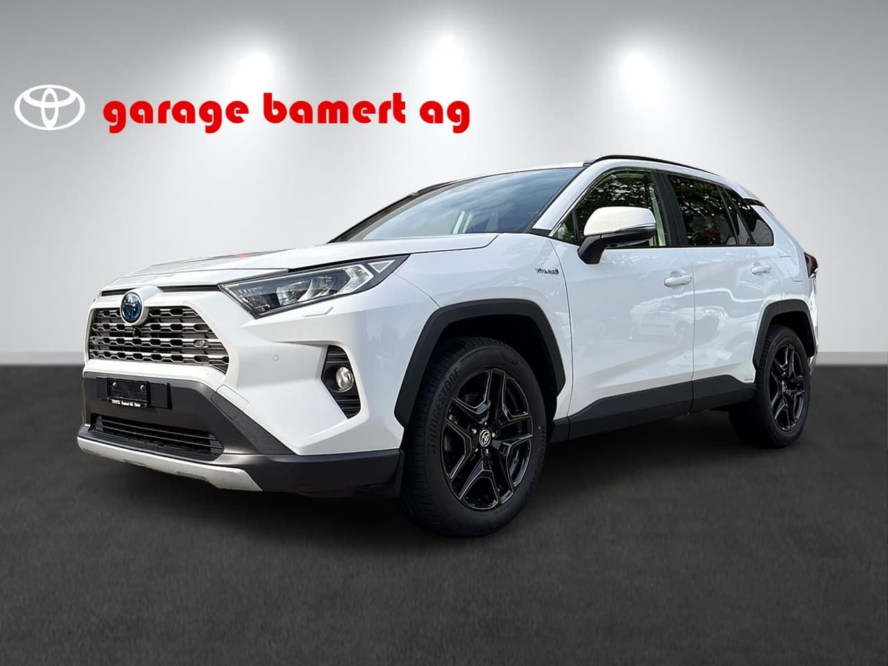 TOYOTA RAV4 2.5 HSD Trend