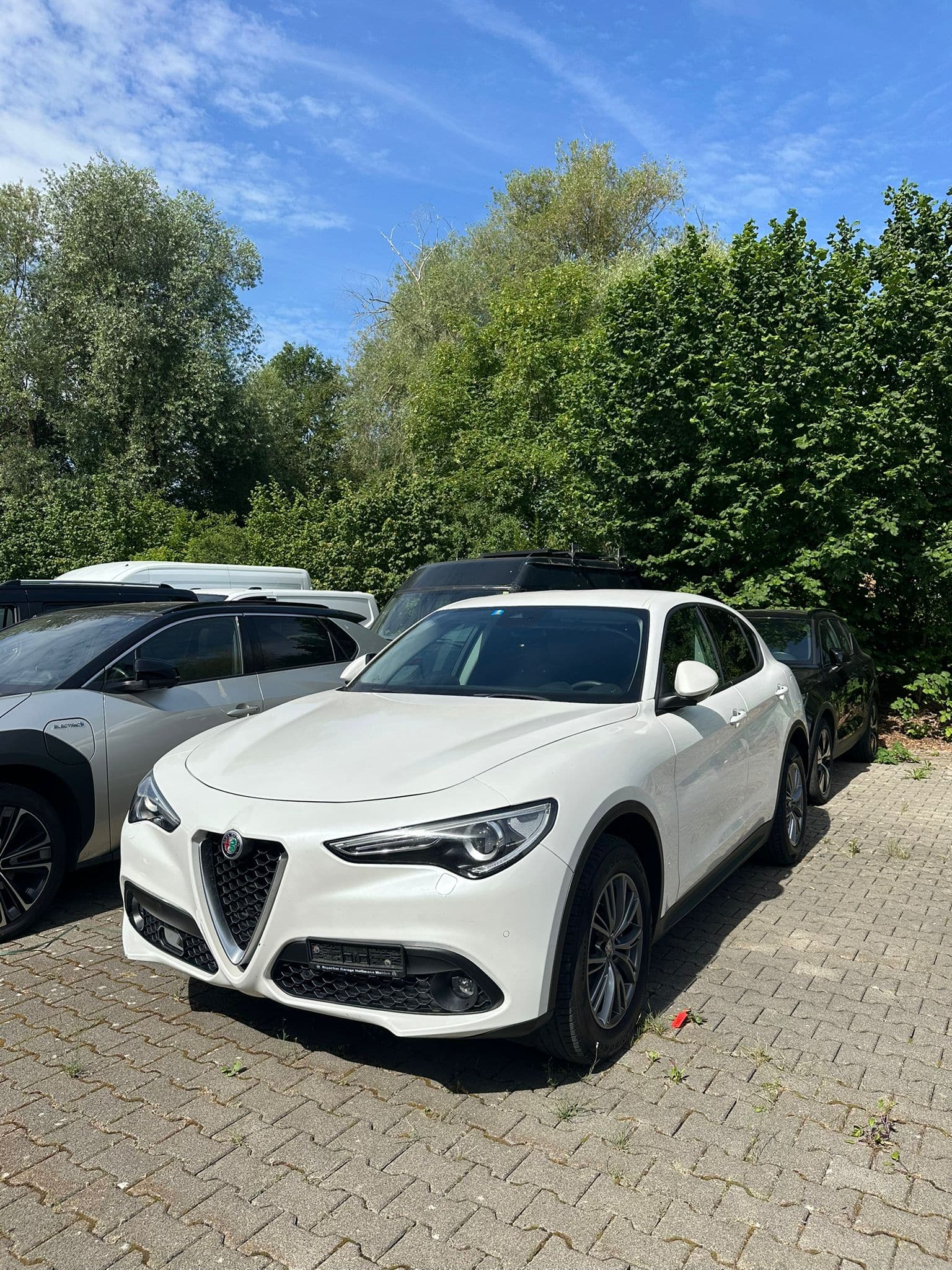 ALFA ROMEO Stelvio 2.2 JTDM Super Q4 Automatic - Bild 1