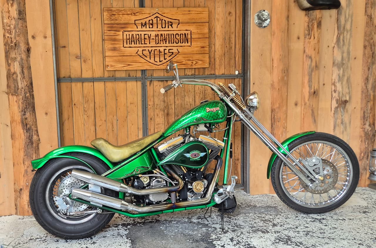 HARLEY-DAVIDSON MWH Custom Bike